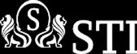 Логотип StokTradeInvest