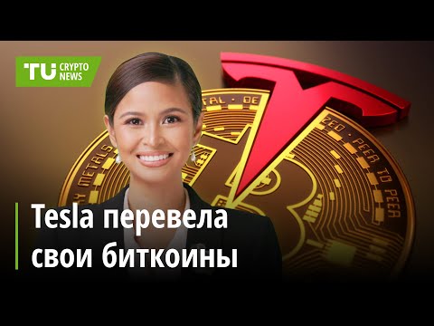 TU Crypto News: Litecoin и BTC растут, Tesla переводит биткоины