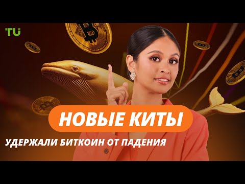 TU Crypto News: Биткоин спасли киты, рост стейблкоинов и ребрендинг EOS