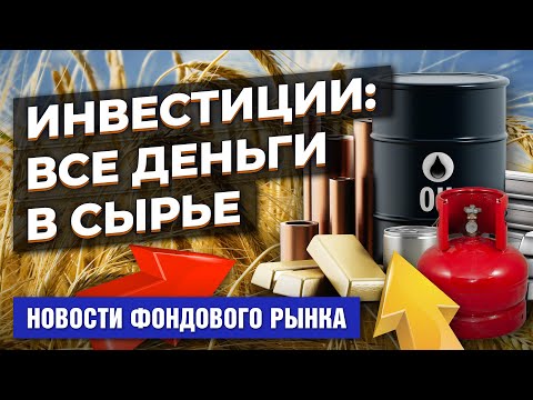 MaxiMarkets: Инвесторы переходят на сырьевые товары. Goldman строит энерго-прогнозы. BlackRock влетела в России