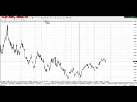 Аналитический обзор рынка Форекс на 18 08 2014