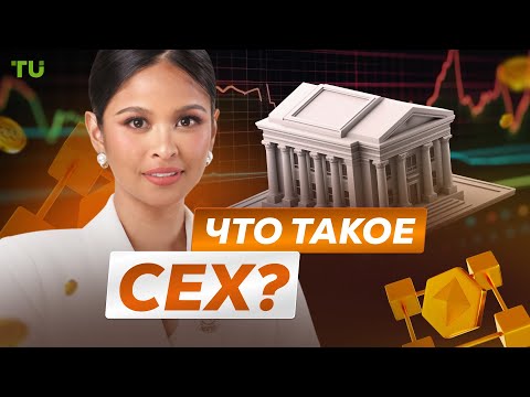 Traders Union: Что такое CEX? | Почему трейдеры выбирают централизованные биржи? | Binance, Coinbase, Kraken