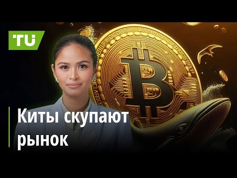 TU Crypto News: Падение Hamster Kombat, рекорды китов, рост EURC: Крипто-новости за 25.10
